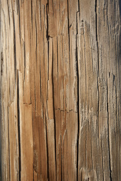 Weathered Telephone Pole