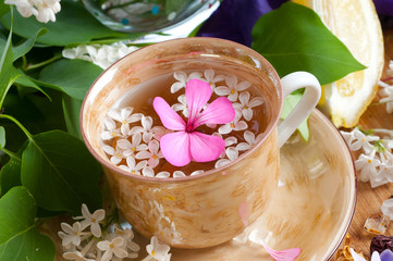 cup of tea and spring branch