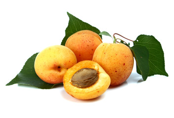 apricot
