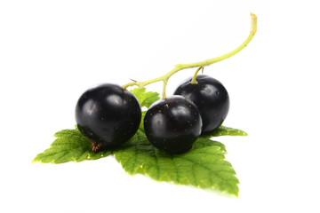 currants