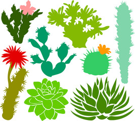 Set of a cactus silhouettes B