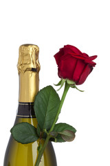 champagnerflasche und rote rose isoliert auf weiß