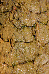 eaux thermales ferrugineuses sur pierres, Cilaos, Réunion