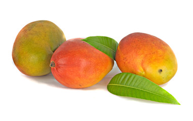 Three mangoes  isolated on white background
