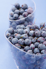 blueberries in the dish