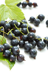 Black Currants