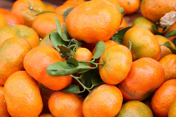 clémentines bio, fruits du marché