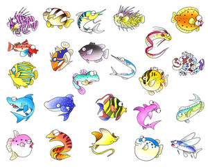 魚　fish © kawano