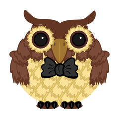 owl with bow tie