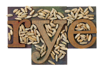 barley word and grain