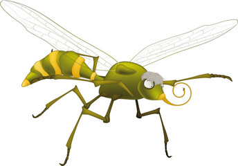 terrible mosquito
