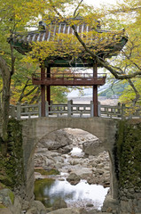 Temple Bridge in Autumn Colors