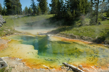 Yellowstone Thermal Pool