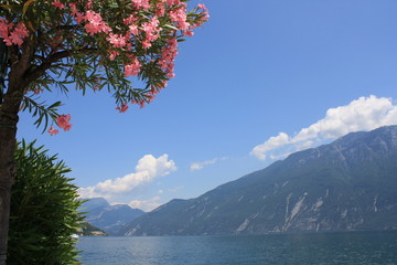lago di garda