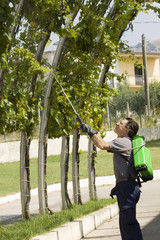 watering grapes