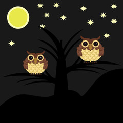 two owls on tree