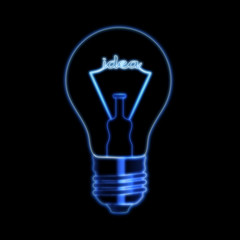 idea in bulb