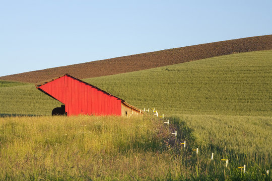 Red barn in a field.