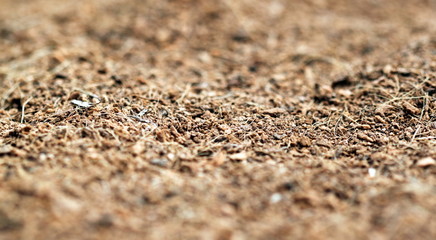 mulch