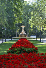 Obraz premium Retiro Park