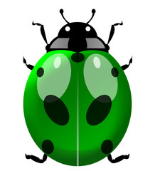 Green Coccinelle