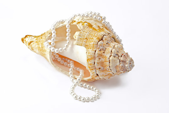 Sea shells and pearls over white background