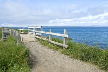 Obraz premium Boardwalk on a Gravel Beach