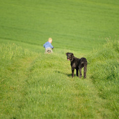 Junge mit Deerhound