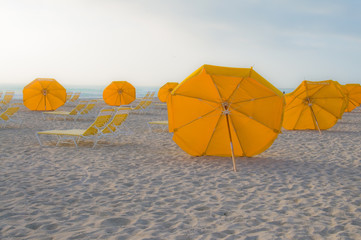 Umbrellas in Miami