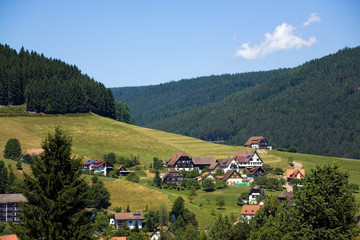 Fototapeta na wymiar Schwarzwald, Baiersbronn latem