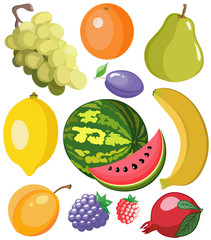 Set of beautiful juicy and color fruits