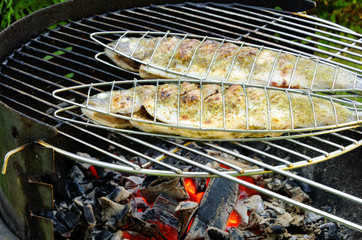 Grillen Forelle - grilling trout 08