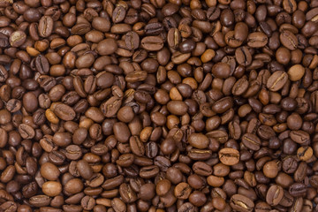 coffee beans