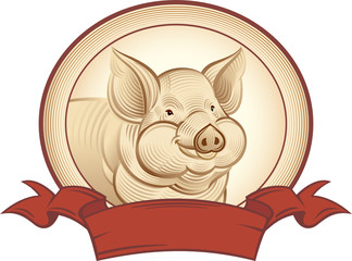 Graphical pig