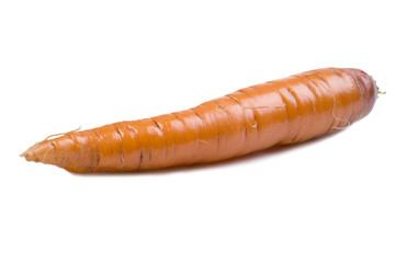 carrot on white
