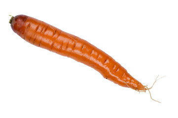 carrot macro