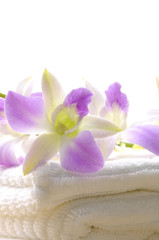 Fototapeta na wymiar Spa towel with orchid