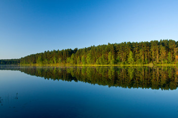 Fototapeta na wymiar Summer landscape at the lake and forest with mirror reflection