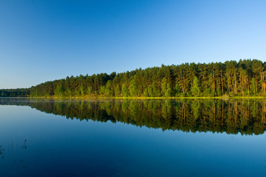 Summer landscape at the lake and forest with mirror reflection