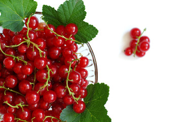 red currant