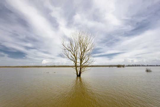 Flooded Evros river - physical border between Greece and Turkey