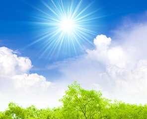 Obraz na płótnie Canvas Słońce i błękitne niebo i świeże zielone
