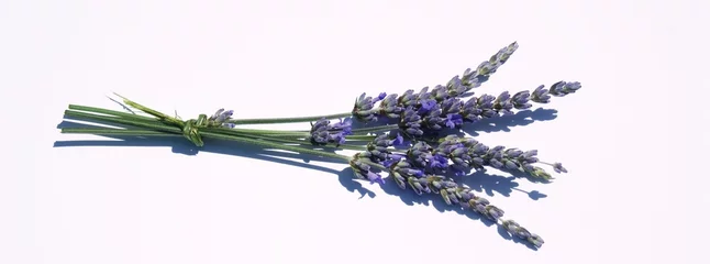 Deurstickers Lavendel lavendel