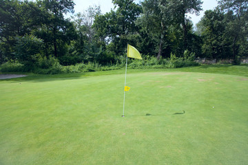 Obraz premium golf course green