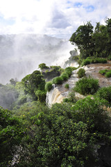 Green Iguazu waterfalls in Argentina