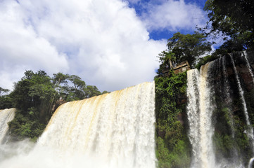 iguazu waterfalls in Argentina - landscape