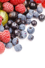different kinds of berries