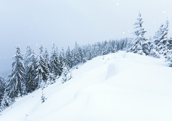 winter mountain landscape