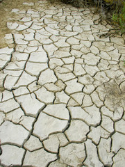 craquelure de terre