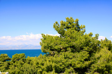 Beautiful sea coast in Greece